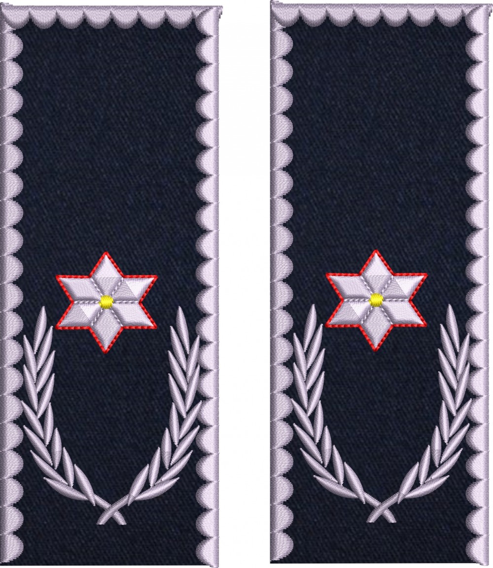 GRADE CHESTOR POLITIE IGPR
